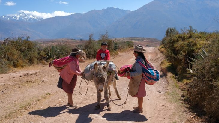[ペルー] クスコから日帰りで合わせて行ける モライ遺跡とマラス塩田