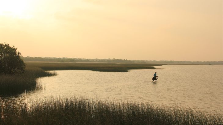 [スリランカ] スリランカの西・南海岸をぶらり 日々の何気ない風景