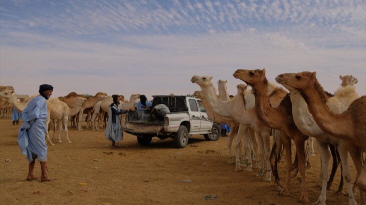 [モーリタニア] 国土のほとんどがサハラ砂漠の国を旅して