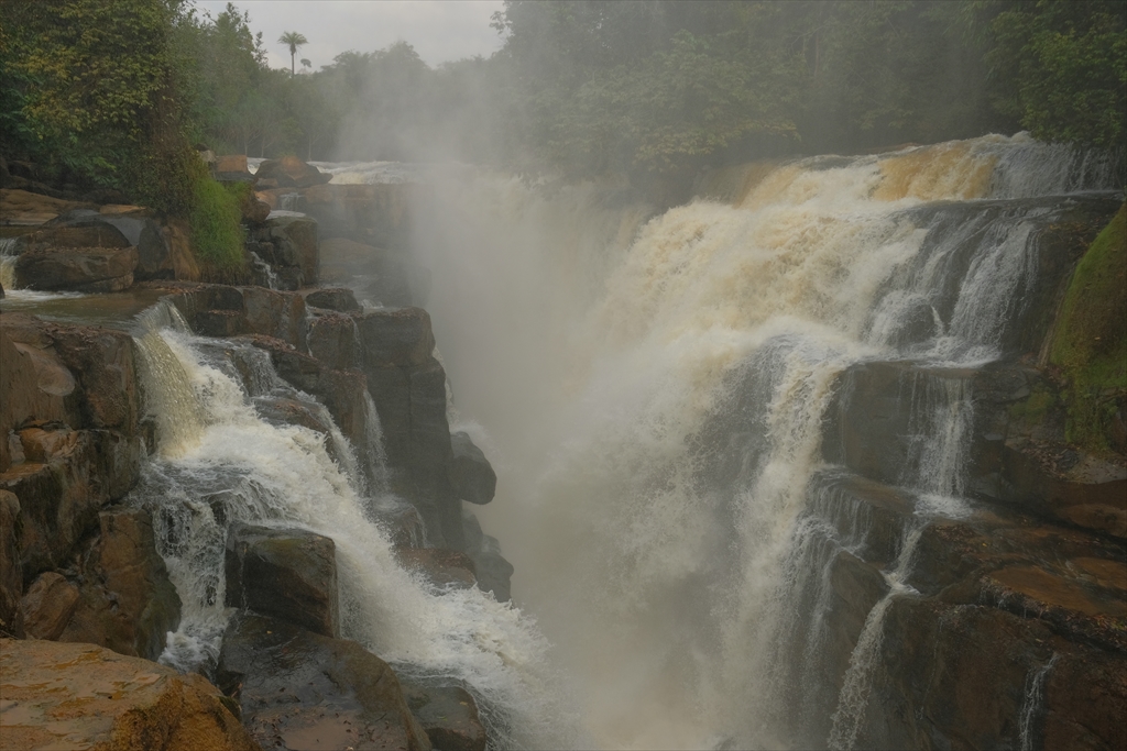 [コンゴ共和国] 魅力の自然スポット ルフラカリとバンクス―の滝を訪ねて